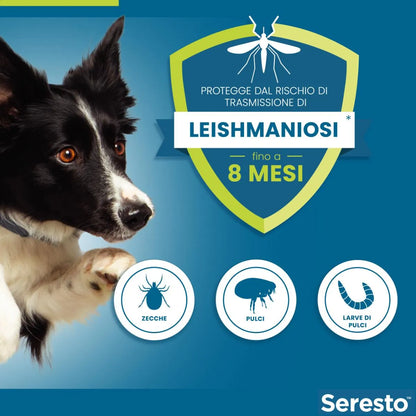 Collare antipulci e antizecche per cani di taglia grande — Protezione fino a 8 mesi