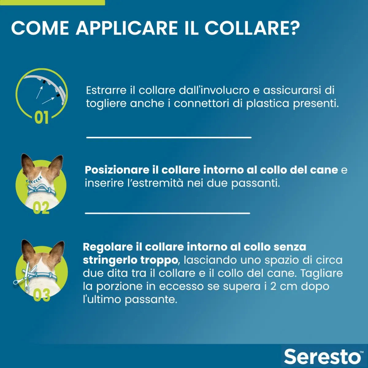Collare antipulci e antizecche per cani di taglia grande — Protezione fino a 8 mesi